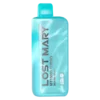 Lost Mary Miami Mint MT15000 Turbo Disposable Vape